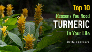 The Herbal Keys, Turmeric